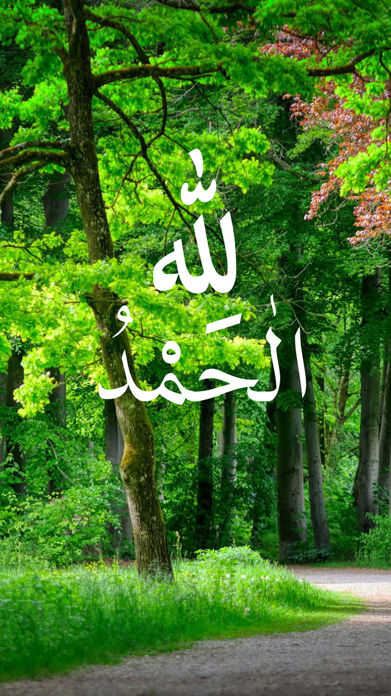 Alhamdullah, allah, athkar, dini, god, islam, islamic, muslim, nature, trees, HD phone wallpaper