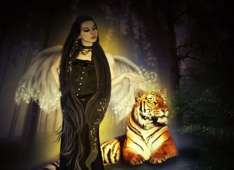 With my Tiger, tiger, woman, light, dark, HD wallpaper