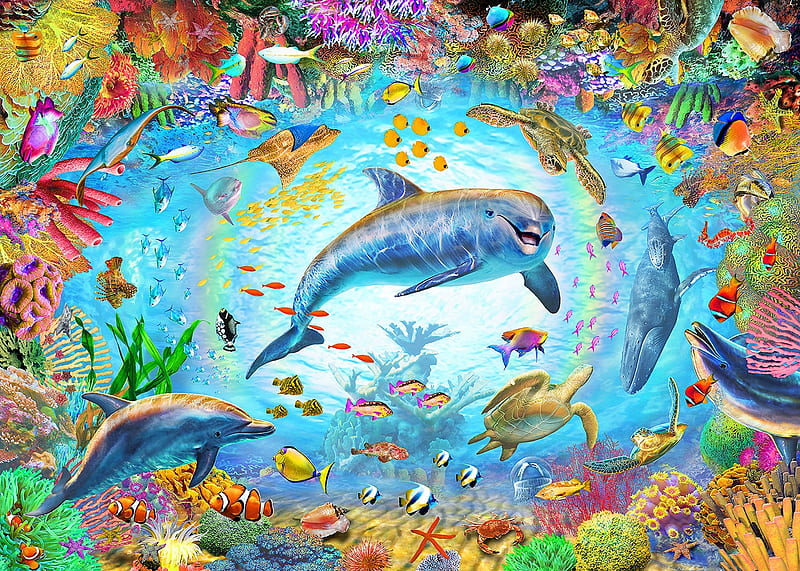 :), colorful, underwater, dolphin, water, vara, fish, summer, blue, adrian chesterman, HD wallpaper