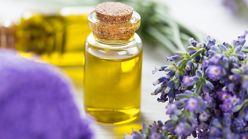 Fragrance of Lavender, oil, fragrant, flowers, spa, lavender, fragrance, HD wallpaper