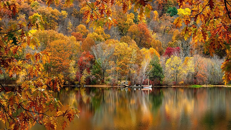 Fall Colour Reflection, beautiful, forest, lake, serenity, tranquility ...