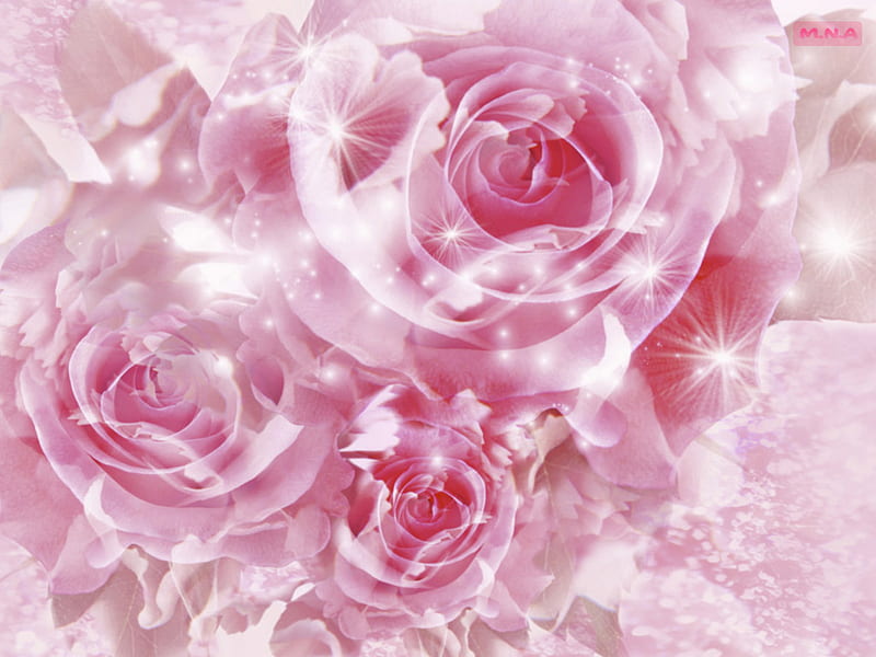 Flor rosa, flores de colores, flor rosa, rosa, colores, flor colorida, flor,  Fondo de pantalla HD | Peakpx