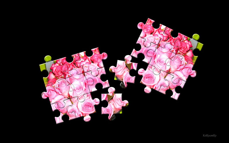 Roses Puzzle , 3D and CG, black, puzzle, roses, abstract, pink roses, HD wallpaper
