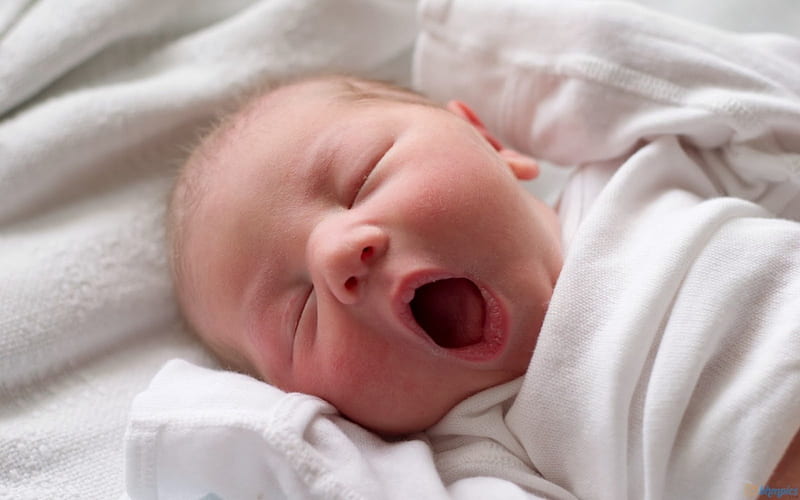 Adorable Newborn Baby, yawning, babies, graphy, newborns, HD wallpaper