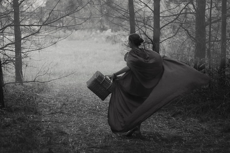 LITTLE RED RIDING HOOD, forest, fantasy, graphy, bw, fairy tale, HD wallpaper