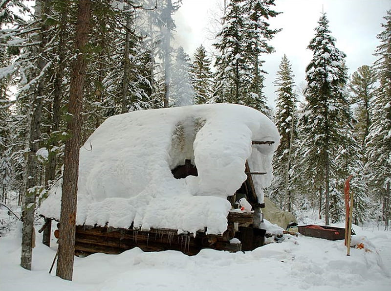 snow cabin, forest, deep snow, cabin, winter, HD wallpaper