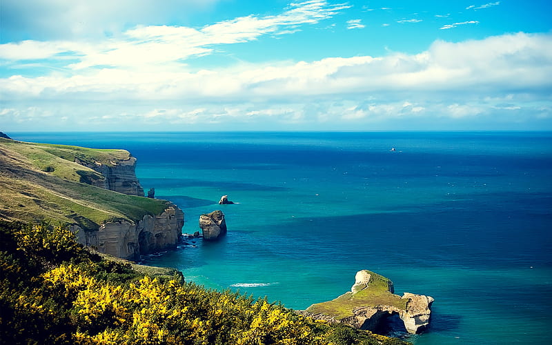 Daily : Shores of New Zealand. I Like To Waste My Time, Coast New Zealand, HD wallpaper