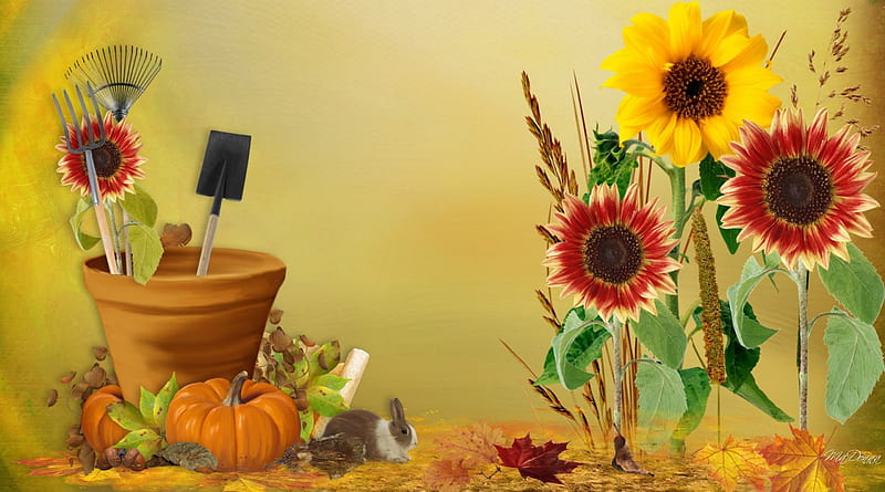 Autumn Bright Colors, fall, rabbit, autumn, harvest, grass, yellow, pot, leaves, gold, sunflowers, amber, bright, summer, garden, bunny, tools, HD wallpaper