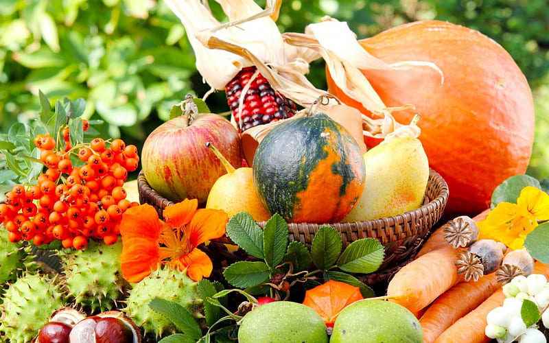 *** Autumn Treasures ***, autumn, trasures, food, fruits, colors, vegetables, HD wallpaper