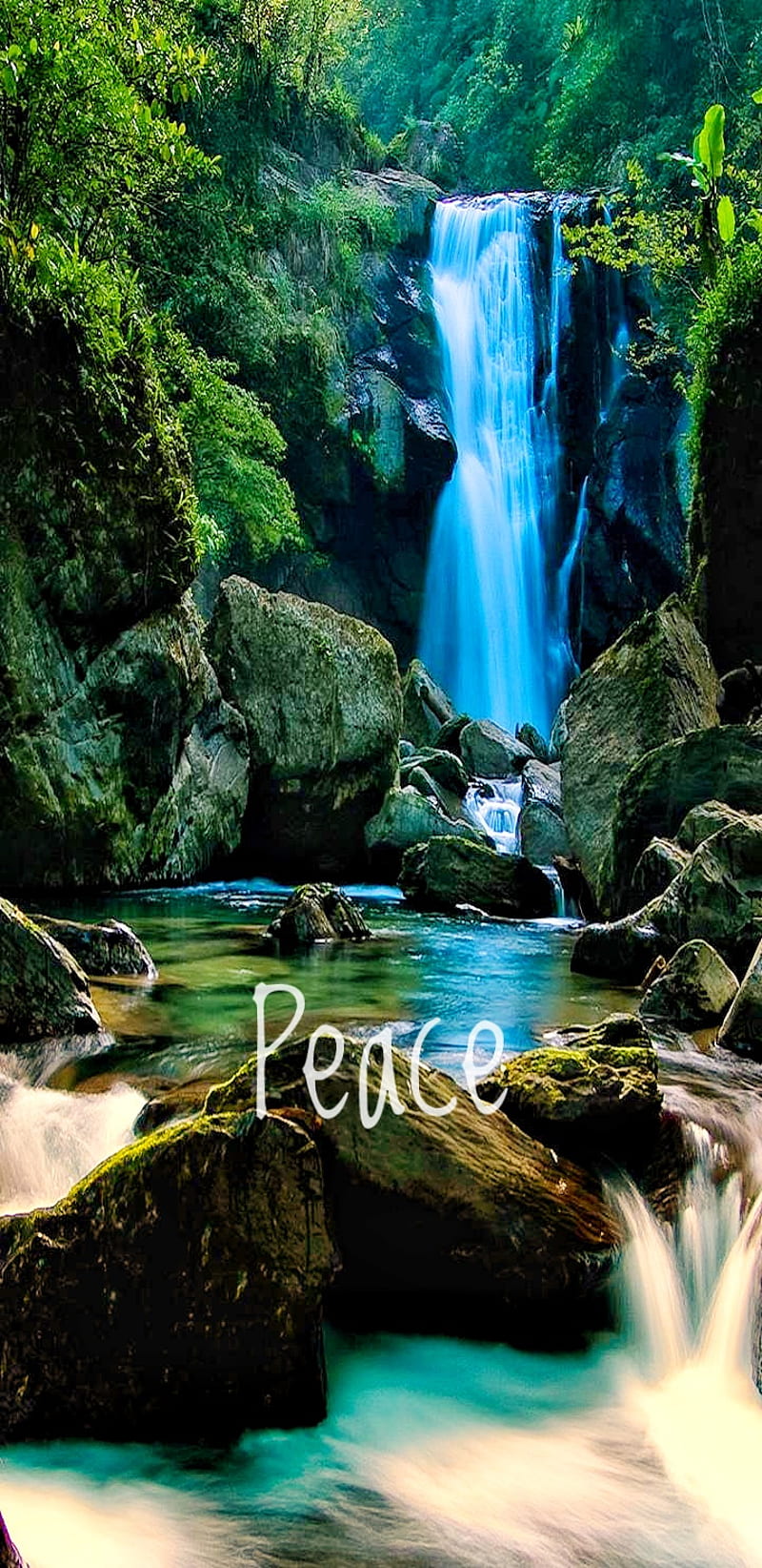 Peace, forest, full, natural, nature, relax, scenery, waterfall,  waterfalls, HD phone wallpaper | Peakpx