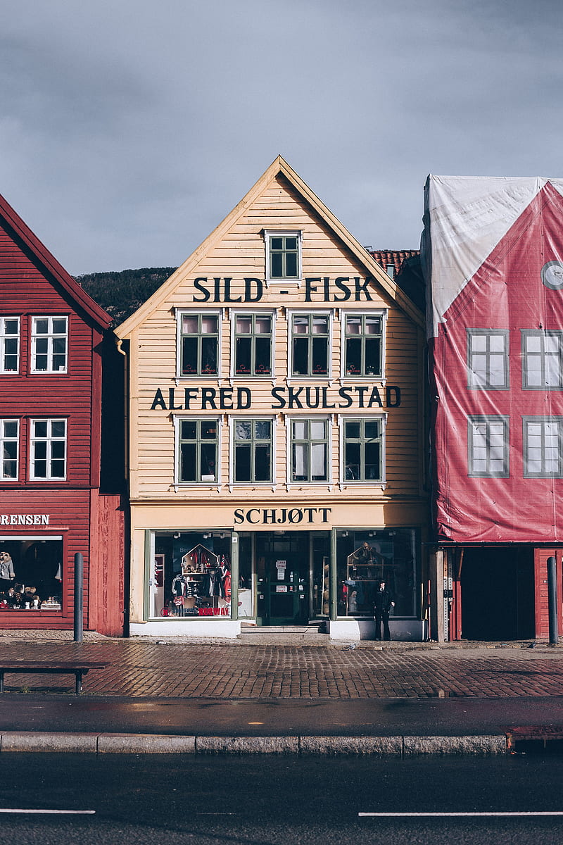 Sild - Fisk Alfred SkulStad house under gray skies, HD phone wallpaper