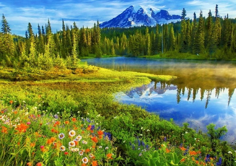 Mount Rainier, hills, pretty, lovely, grass, bonito, spring, trees, lake, freshness, pond, mountain, reflectiion, flowers, landscape, meadow, HD wallpaper