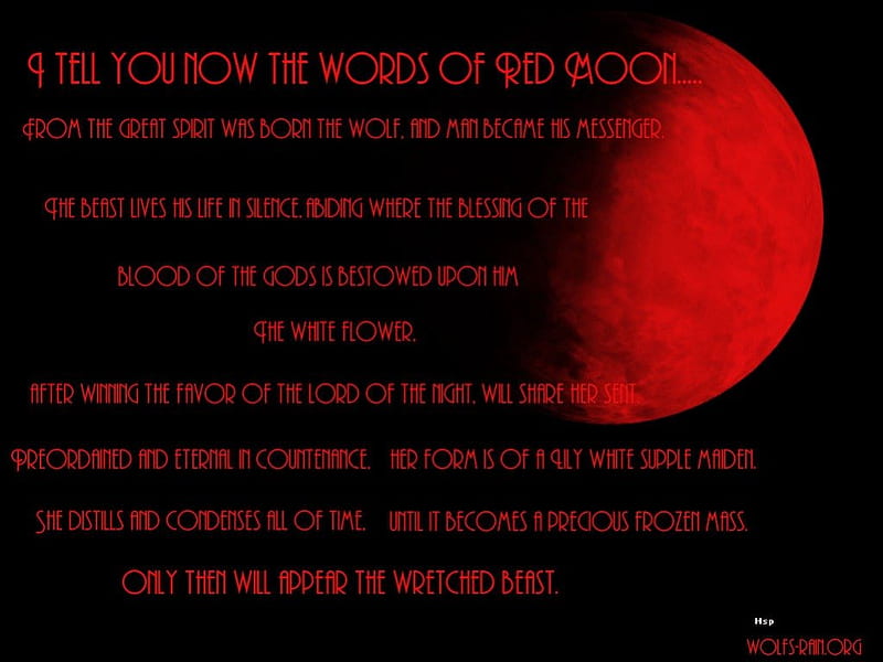 words of red moon, friendship, quotes, pack, dog, lobo, arctic, black, abstract, winter, timber, snow, wolf , wolfrunning, wolf, white, lone wolf, howling, wild animal black, howl, canine, wolf pack, solitude, gris, the pack, mythical, majestic, wisdom beautiful, maned wolf nature, spirit, canis lupus, grey wolf, wolves, wisdom, HD wallpaper