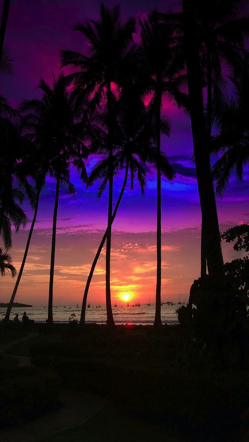 Aura Sunset, beach, natural, HD phone wallpaper