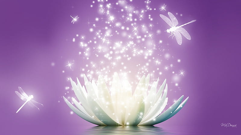 Lotus Flower Sparkle, lilac, stars, lotus, glow, shine, bugs, floating, lavender, sparkle, water, dragonflies, flower, dragonfly, reflection, HD wallpaper