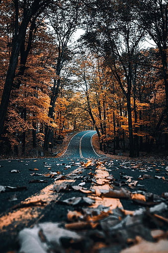 HD fall vibes wallpapers  Peakpx