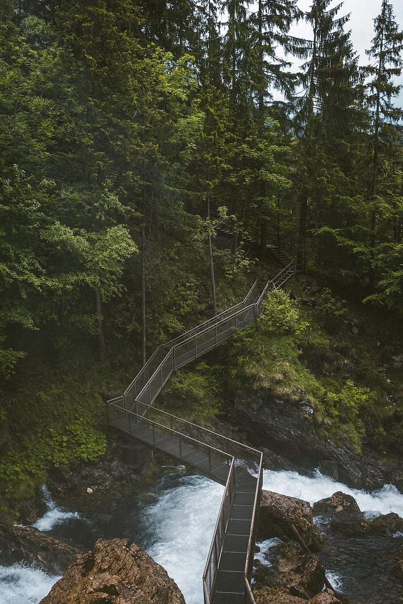 bridge, river, trees, stones, rocks, HD phone wallpaper