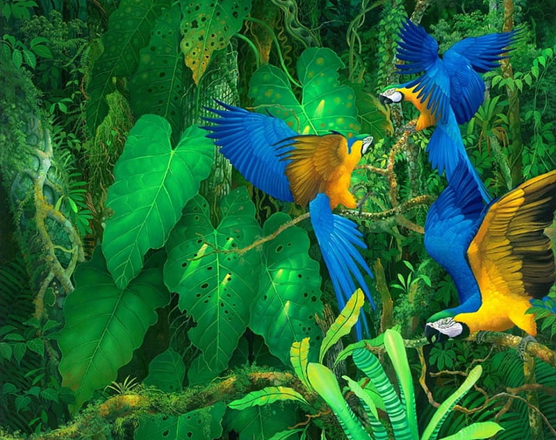 Blue parrot, jungle, birds, parrot, blue, HD wallpaper | Peakpx
