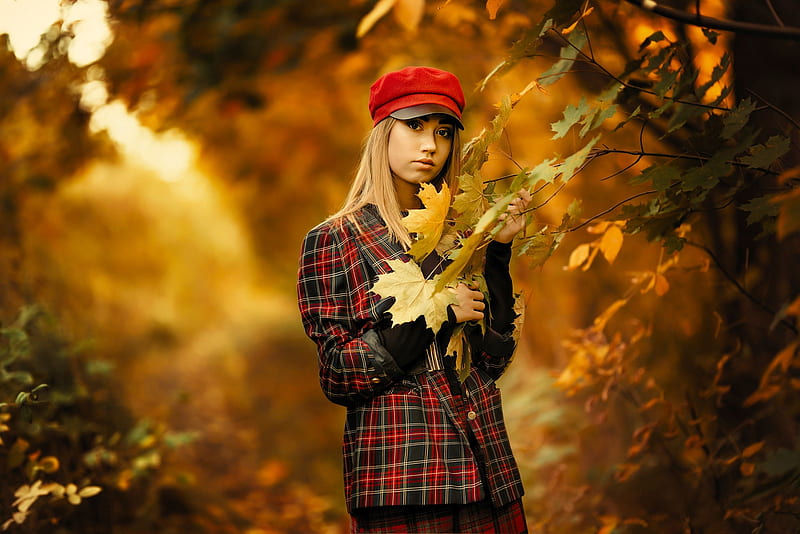 ლ, Trees, Leaves, Look, Autumn, HD wallpaper | Peakpx