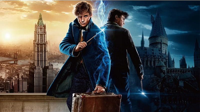Harry Potter And Fantastic Beasts 4D, HD wallpaper | Peakpx