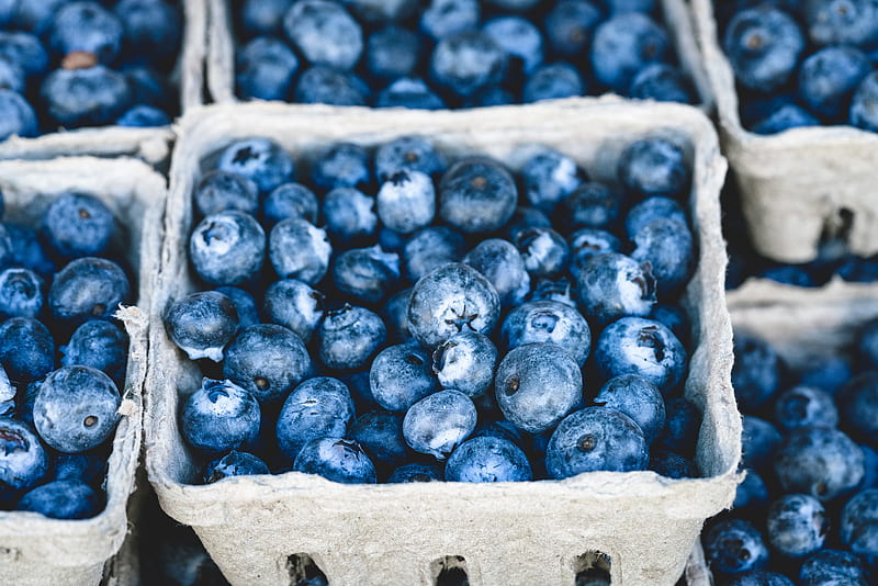 blueberries fruit, HD wallpaper