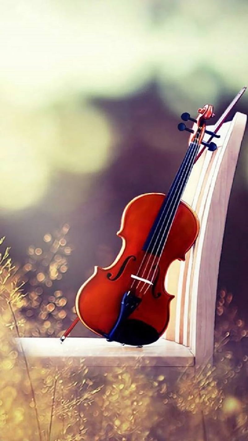 Violin, music, instrument, HD phone wallpaper