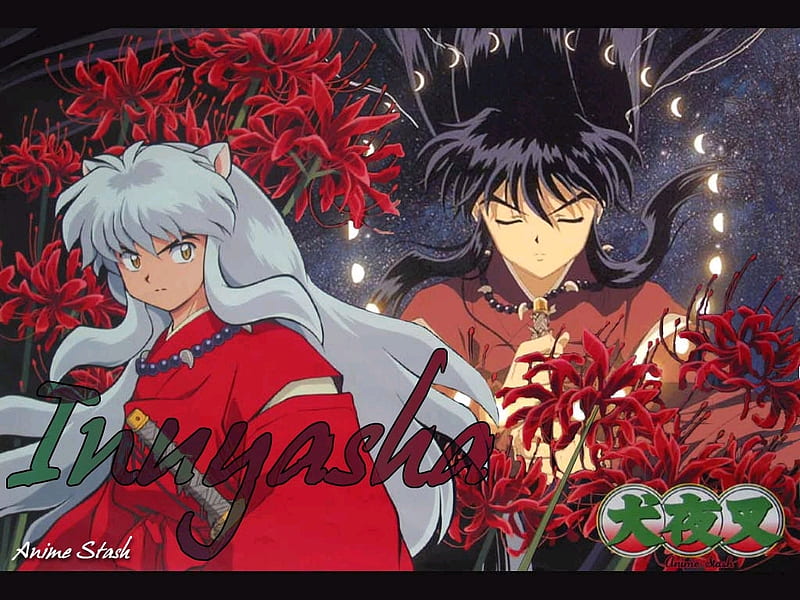 Inuyasha, sango, shippo, kagome, HD wallpaper