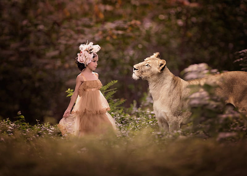 graphy, Child, Dress, Girl, Lion, Mood, HD wallpaper