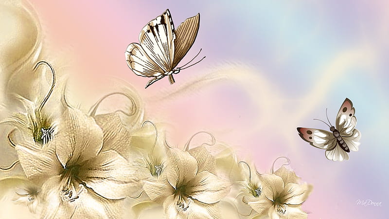 Lily on Rainbow, rainbow background, summer, lilies, pastel, spring, butterflies, natural, HD wallpaper