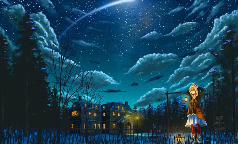 Stars in the night sky, stars, pretty, house, girl, anime, ligths, night,  HD wallpaper | Peakpx