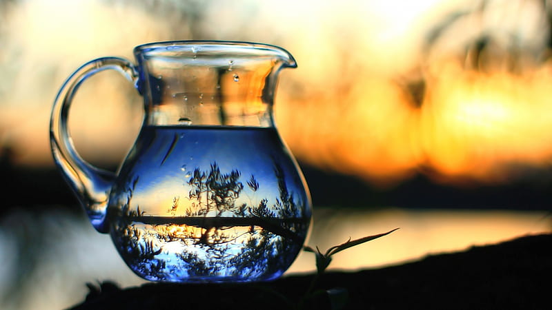 sunset in a glass pitcher, glass, water, pitcher, sunset, trees, HD wallpaper