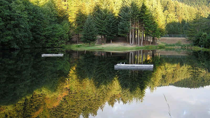 mirror swimming lake, forest, reflections, lake, floats, HD wallpaper