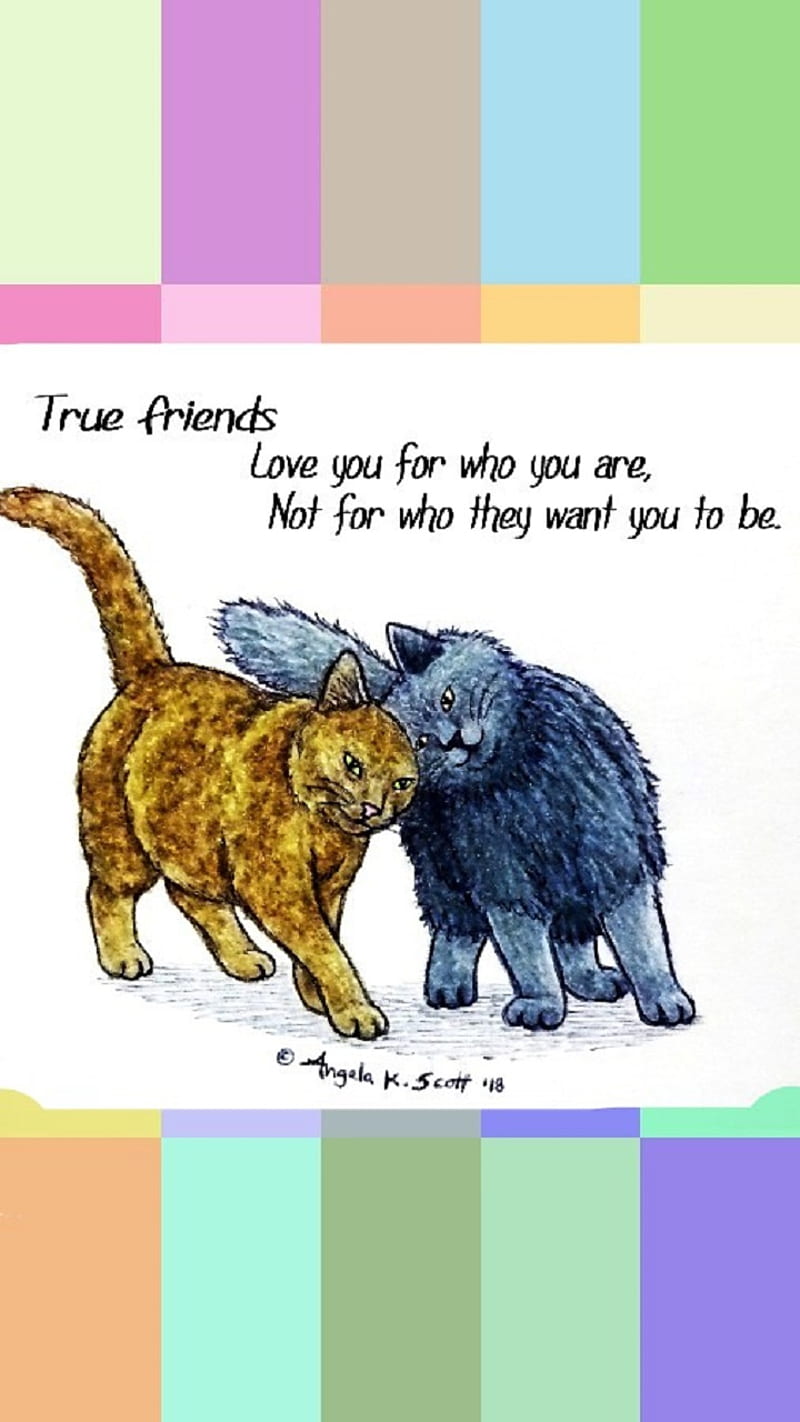 True Friends Cats, acceptance, art, drawings, friendship, inspirational, inspire, kitty, love, quote, sayings, HD phone wallpaper