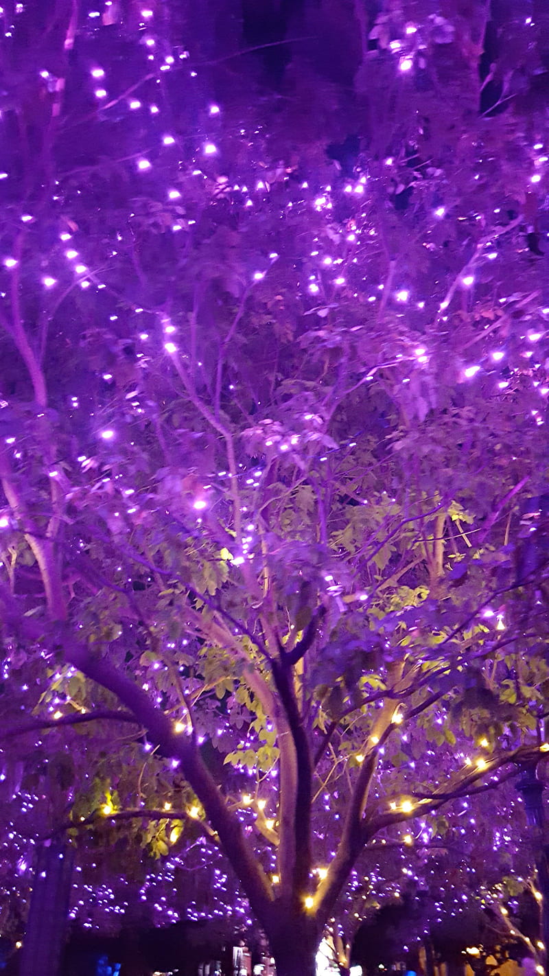 Halloween Tree, spooky, light, purple, wdw, disney, evil, winter, forest, HD phone wallpaper