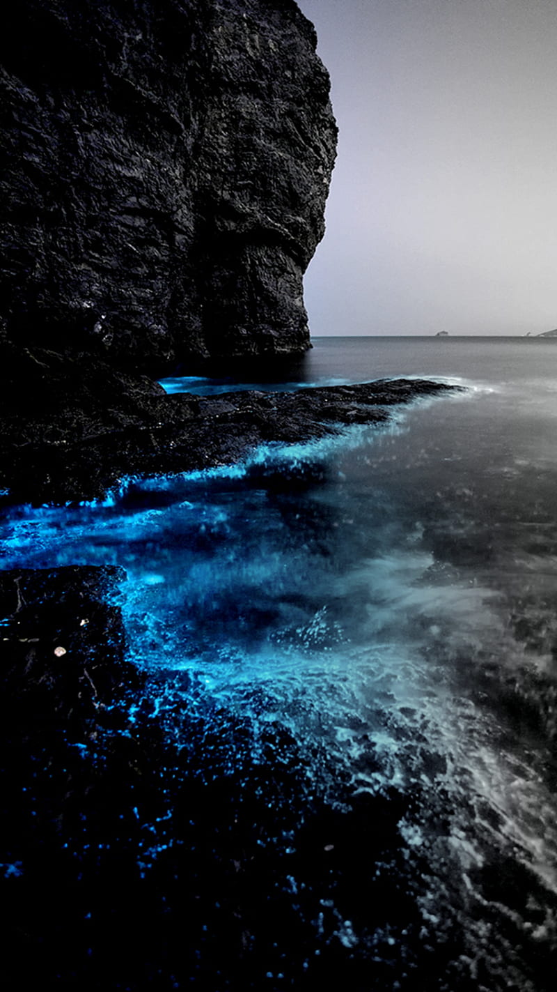 Sparkling Sea, beach, blue, deep, HD phone wallpaper