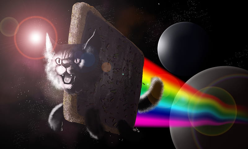 Nyan Cat, rainbow, cat, nyan, poptart, HD wallpaper