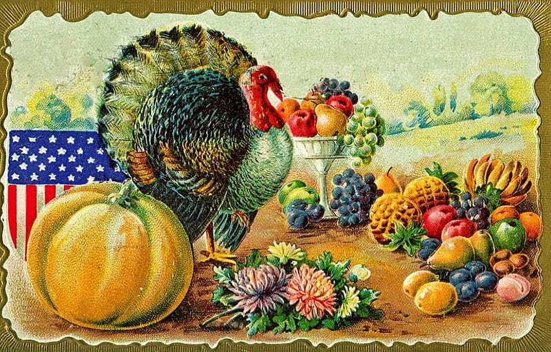 Happy Thanksgiving, turkey, pumpkin, fruits, painting, flowers, artwork, HD wallpaper