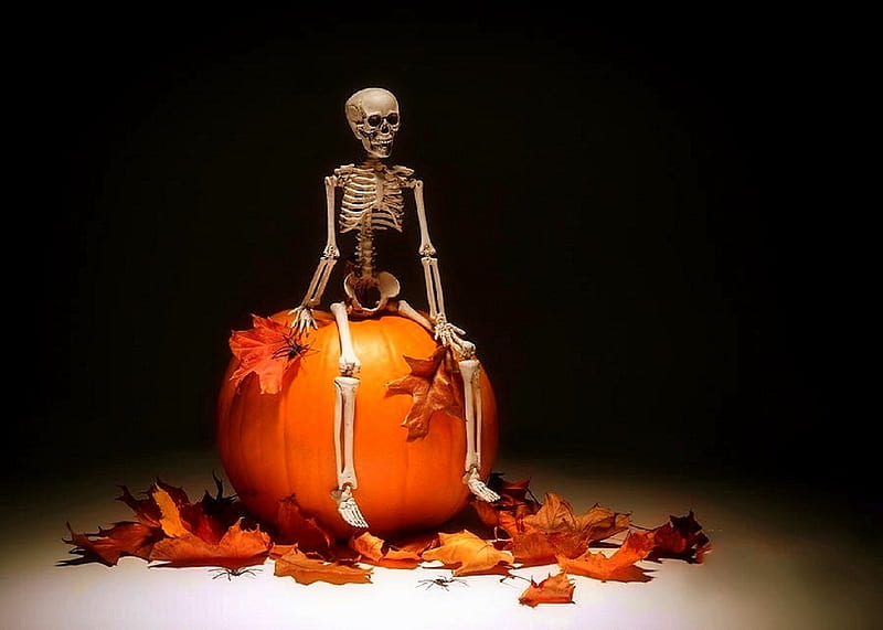 ✿⊱•╮Halloween Skeleton╭•⊰✿, lovely still life, fall, autumn, skeleton, holiday, halloween, colors, love four season, still life, leaves, graphy, pumpkin, decorations, HD wallpaper