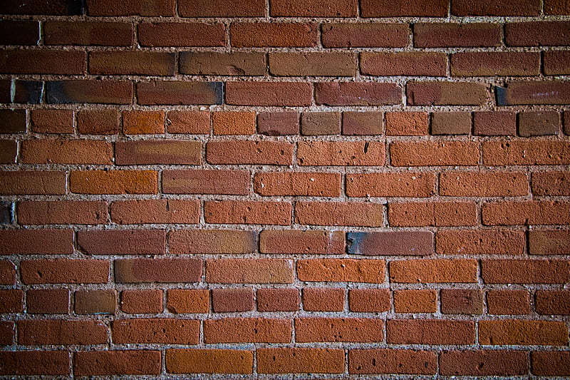 wall, bricks, texture, HD wallpaper