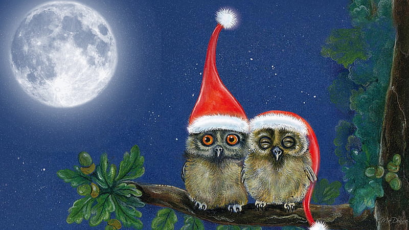 Snowy Winter Owls, Christmas, fulle moon, tree, birds, sky, branch, owls, winter, HD wallpaper