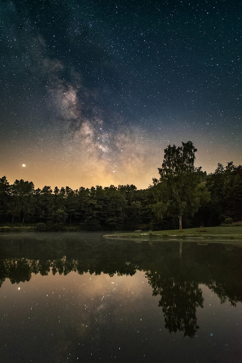 forest, lake, starry sky, nebula, stars, HD phone wallpaper