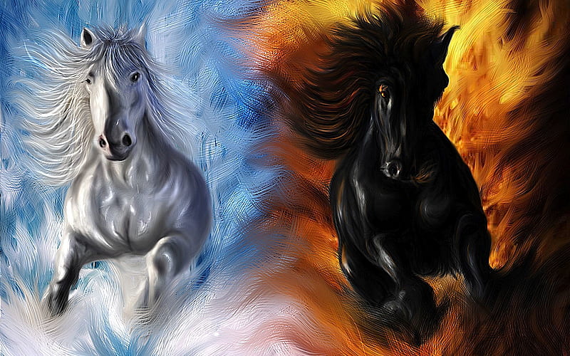 fire and ice horses, ice, fire, horse, animal, HD wallpaper