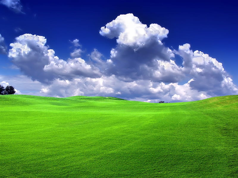 Bliss Like, customized, grass, bonito, sky, bliss, grasslands, nice, cool, green, nature, fields, like, blue, HD wallpaper