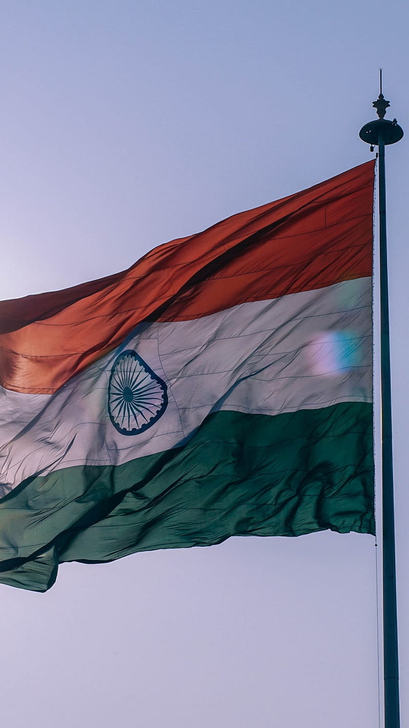 Indian flag, india, love, HD phone wallpaper
