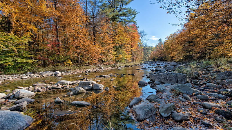 lovely rocky forest river in autumn, rocks, forest, autumn, river, HD wallpaper