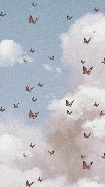 Butterfly aesthetic, aesthetic, angel, butterflies, butterfly, cute, ethereal, sky, sky aesthetic, soft, HD phone wallpaper