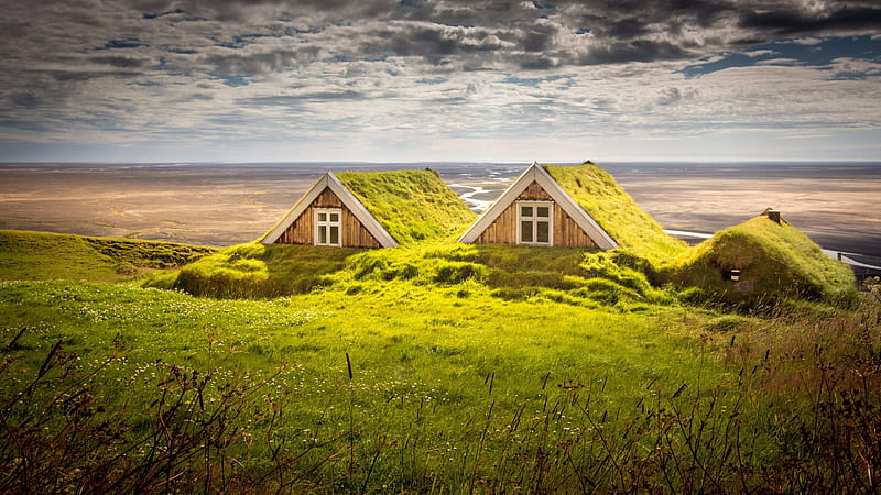 Houses Covered by Moss in Iceland, sunlight, houses, sky, turf house, summer, moss, nature, field, landscape, HD wallpaper