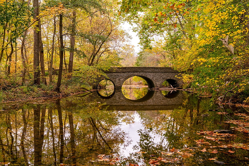 Footbridge at Sharon Woods, Ohio, water, nature, trees, bridge, reflection, HD wallpaper