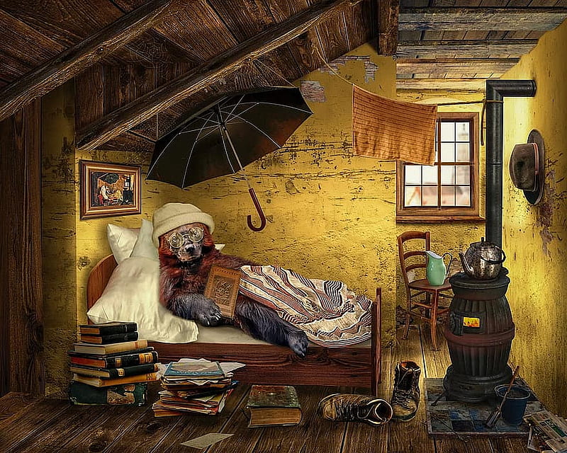 Bear in the attic, books, bed, painting, oven, umbrella, funny, room, HD wallpaper