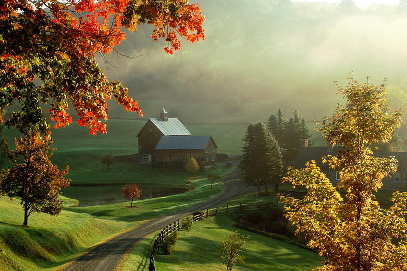 Good morning, sunrise, house, trees, early, HD wallpaper | Peakpx